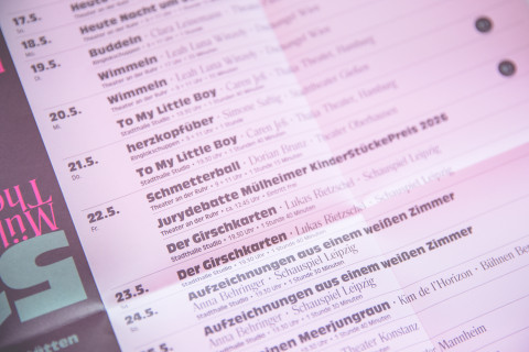 Programmflyer der 51. Mülheimer Theatertage / Foto: Daniela Motzkus Programmflyer der 51. Mülheimer Theatertage / Foto: Daniela Motzkus