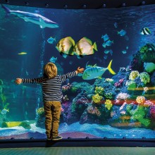 Über den Rhein-Herne-Kanal zum SEA LIFE Über den Rhein-Herne-Kanal zum SEA LIFE