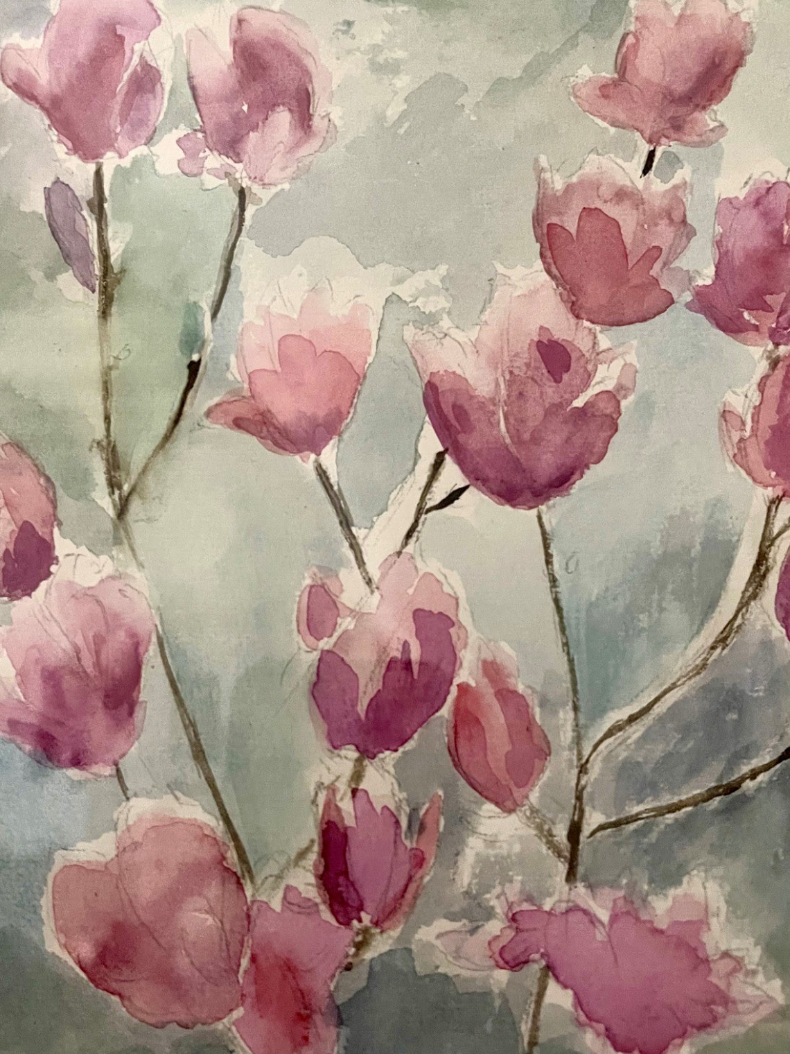 Magnolien