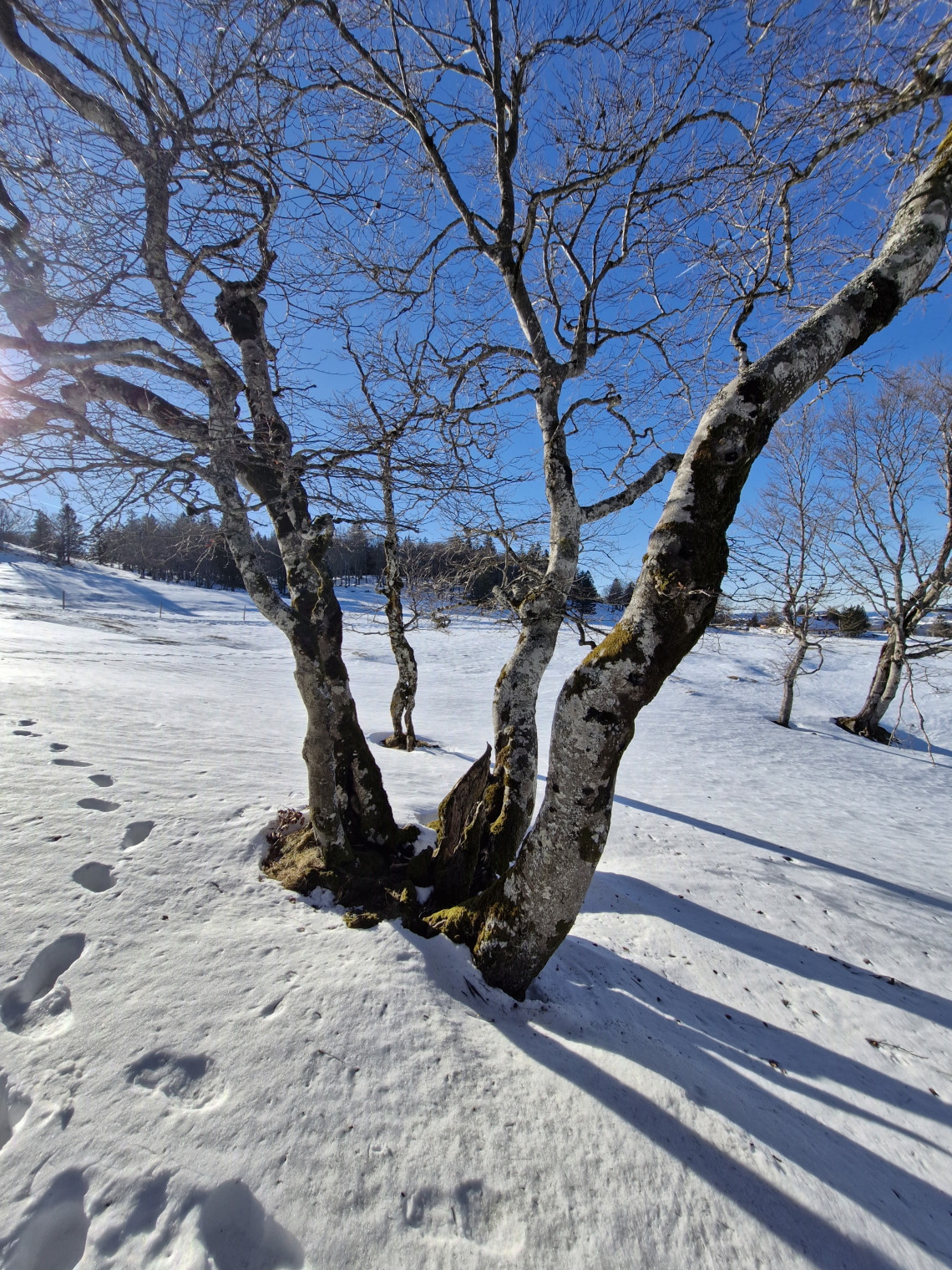 Ausstellung "Winter" Fotogruppe Momentaufnahme