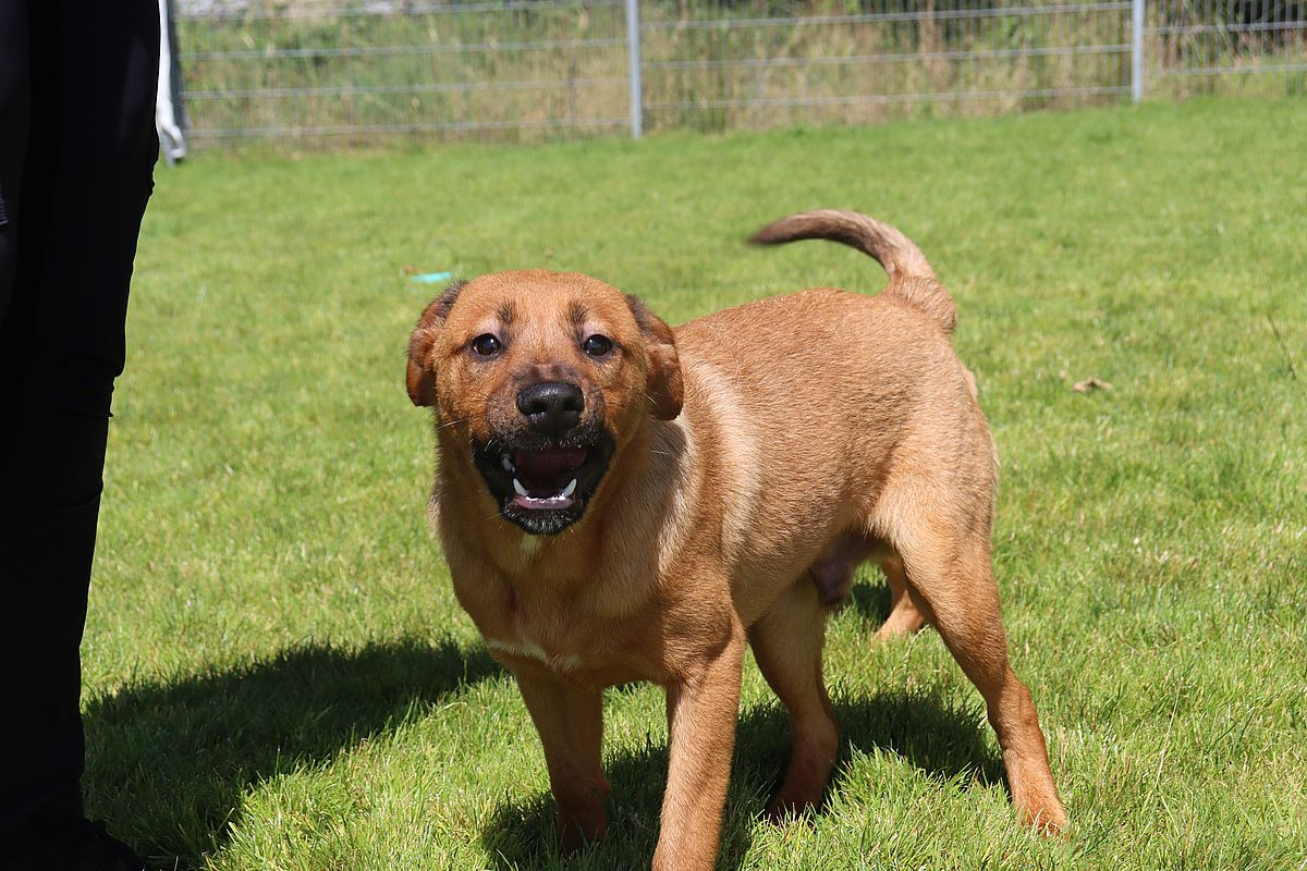 Bibi | Stadt Mülheim an der Ruhr