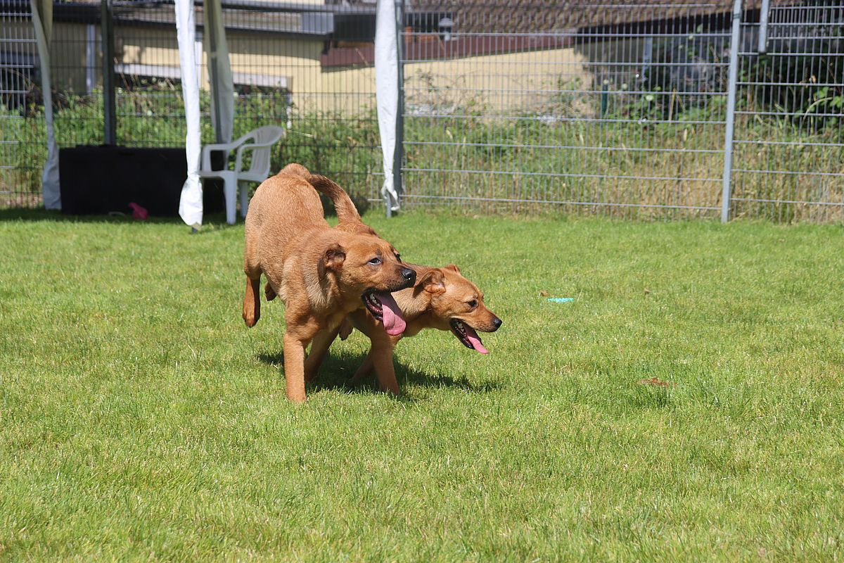 Bibi | Stadt Mülheim an der Ruhr